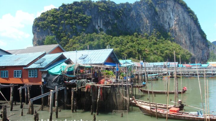 Wiska morskich cygan. Krabi Tajlandia.