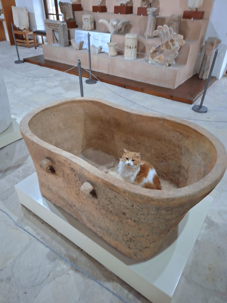 Muzeum i stacja archeologiczna przy świątyni Afrodyty